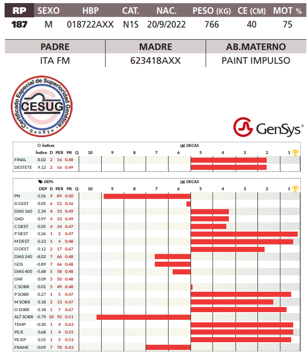 Lote LOTE 23