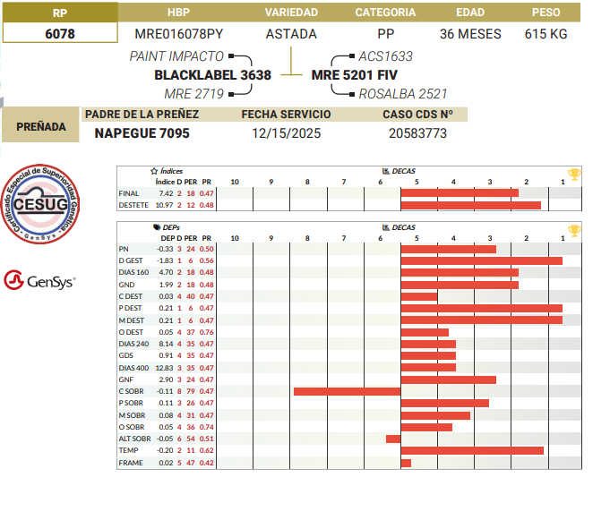 Lote LOTE 46