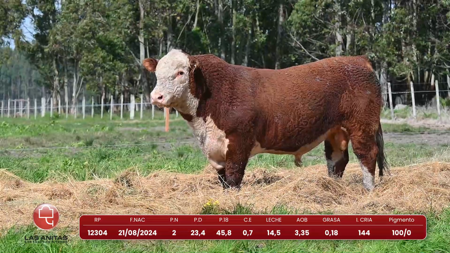 Lote Lote 23