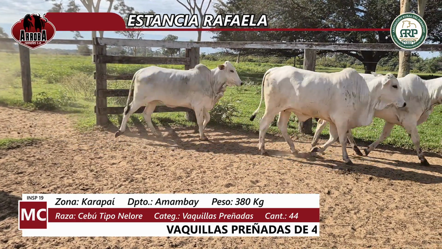Lote ESTANCIA RAFAELA