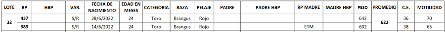 Lote LOTE 32
