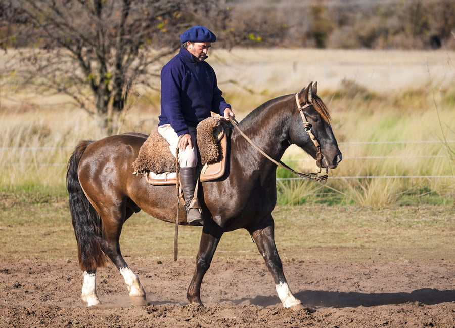 Lote Epumer Bolichero