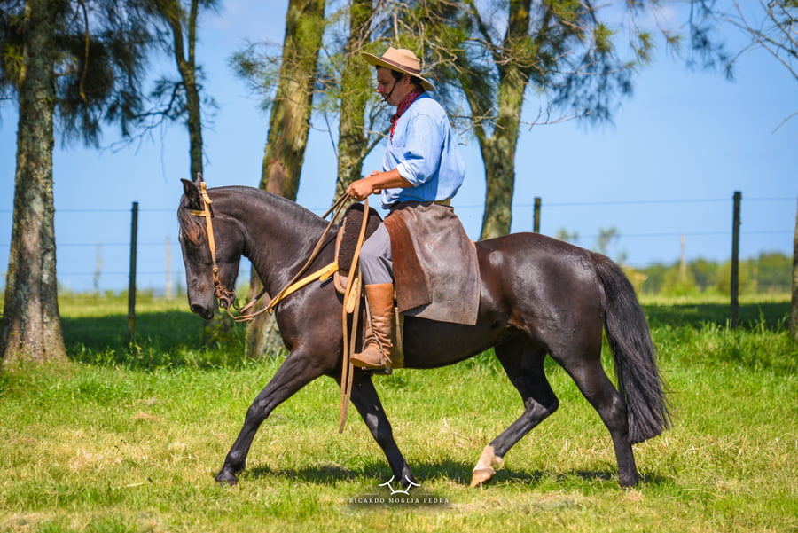 Lote El Gavilán Pacífica Momia (RP 411) Cabaña "El Gavilán"