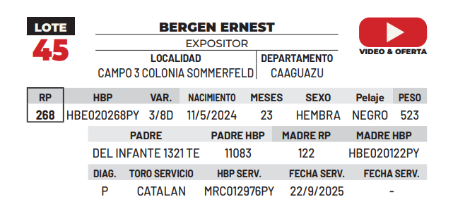 Lote LOTE 45 -DE CAMPO