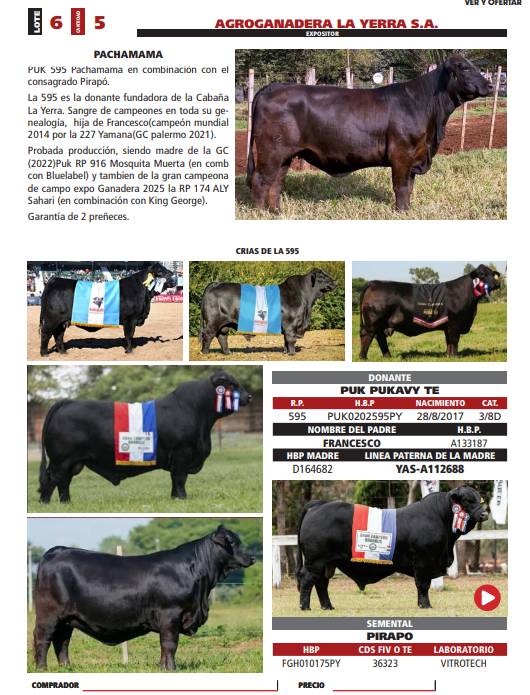 Lote LOTE 6