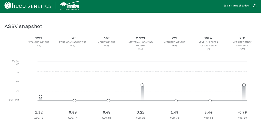 Lote Carnero TOP, 20-1190