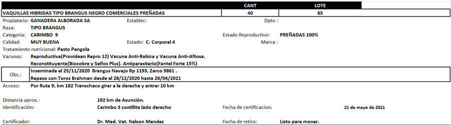 Lote Reproductores de Alborada - Lote 65