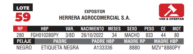 Lote LOTE 59 - CAMPO