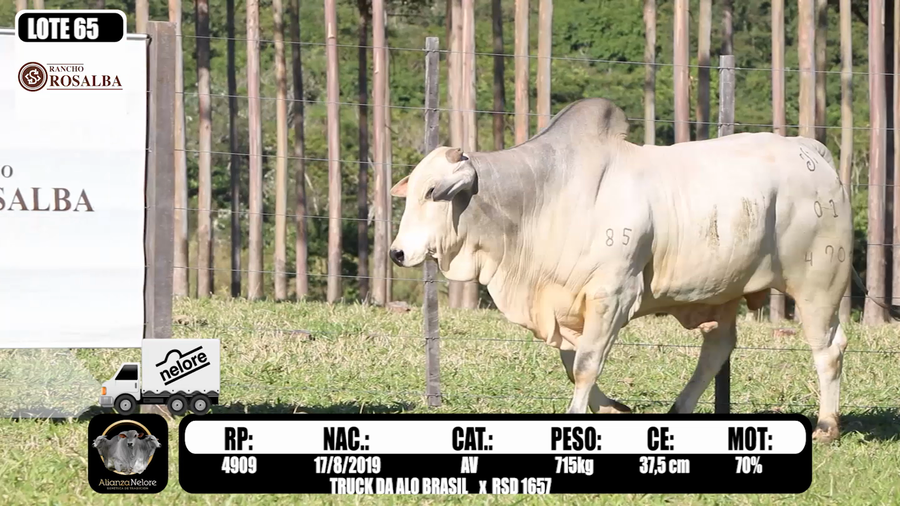 Lote LOTE 65  RP 4909