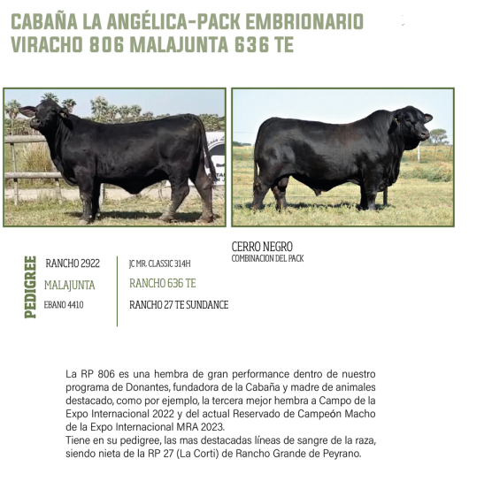 Lote LOTE 60