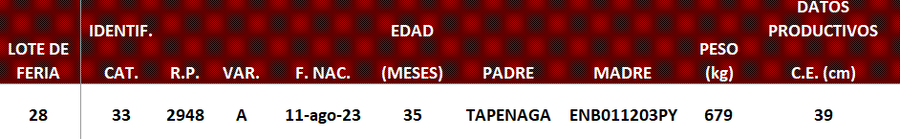 Lote LOTE 28