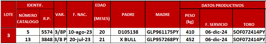 Lote LOTE 3