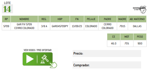 Lote LOTE 14