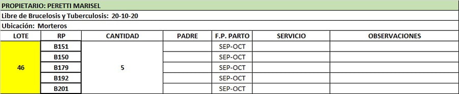 Lote Vaquillonas preñadas
