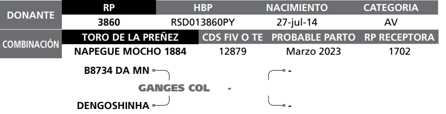 Lote LOTE 49 PREÑEZ RP RANCHO ROSALBA 3860