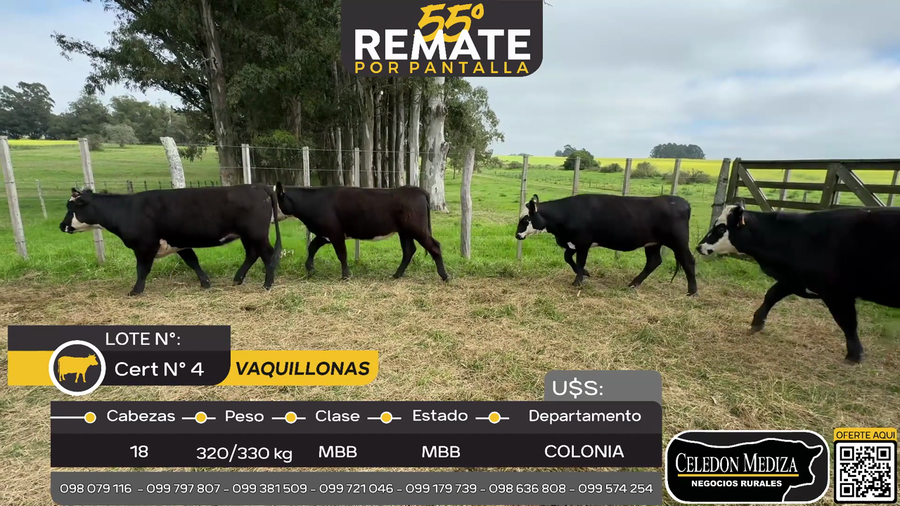 Lote 18 Vaquillonas, Puntas de Riachuelo, a 8 km de  Tarariras, Colonia