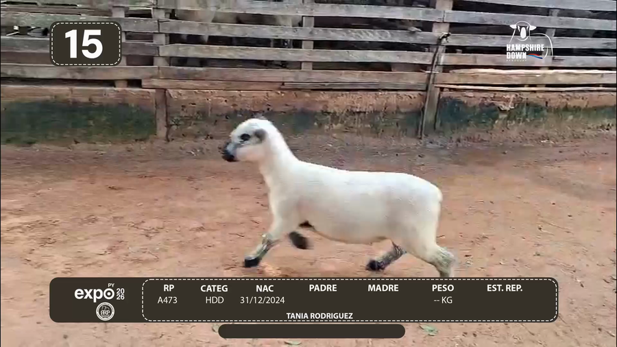 Lote LOTE 15 - CAMPO