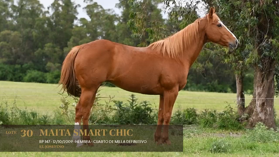 Lote Maita Smart Chic