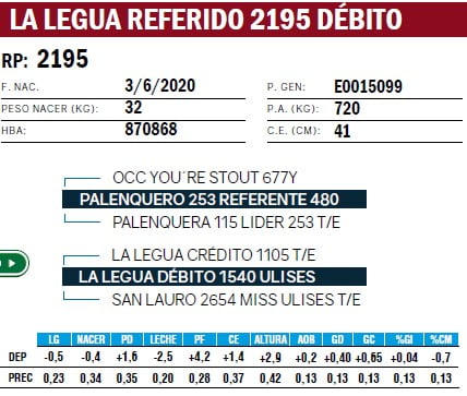 Lote TOROS ANGUS PURO DE PEDIGREE