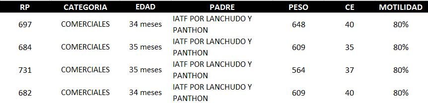 Lote AGROPECUARIA AMAMBAY LOTE 31