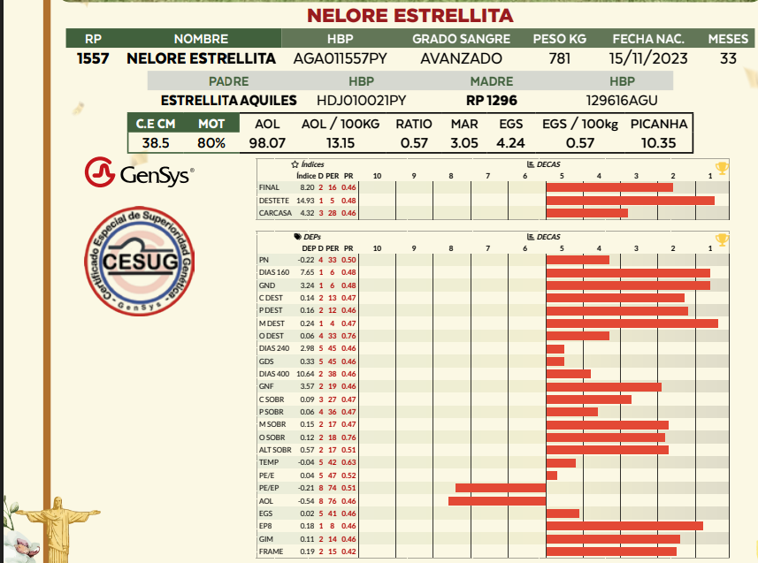 Lote LOTE 21