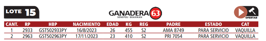 Lote LOTE 15