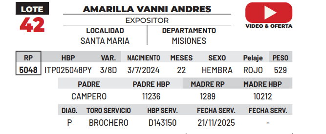 Lote LOTE 42 -DE CAMPO