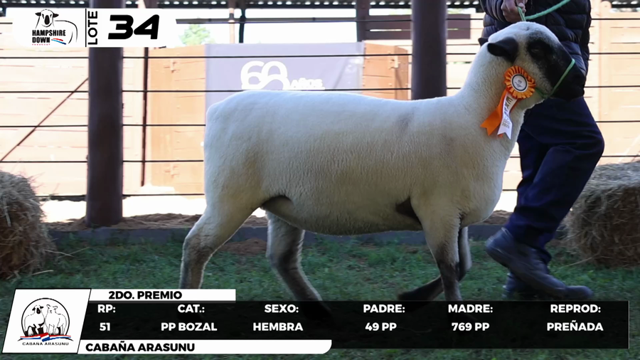 Lote LOTE 34- BOZAL