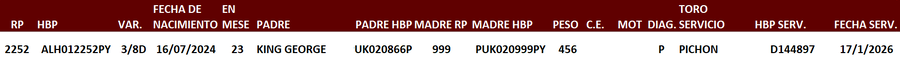 Lote LOTE 23