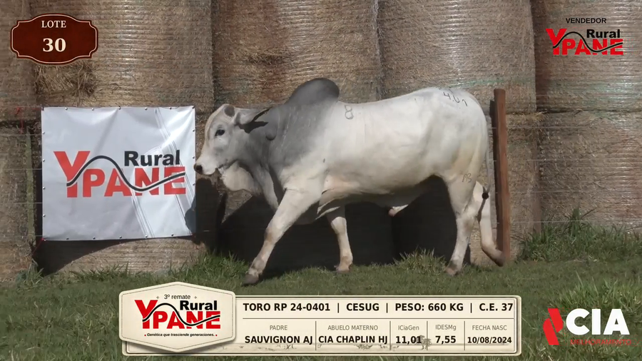 Lote Lote 30