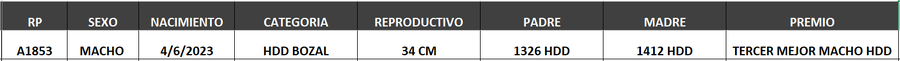 Lote LOTE 47- BOZAL