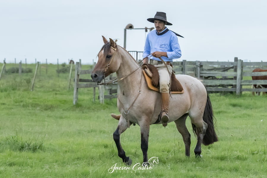 Lote Porfiada De Los Recuerdos