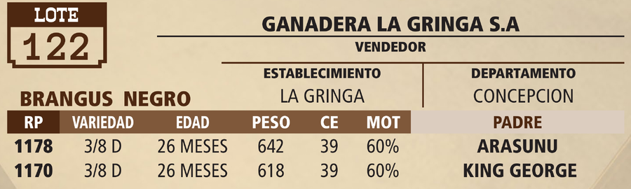 Lote LOTE 122 - VIVO