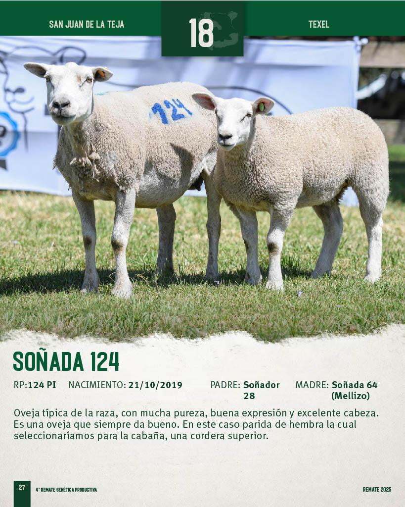 Lote Ovejas a remate en 4º Genetica Productiva, San José
