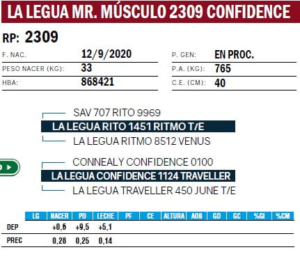 Lote TOROS ANGUS PURO DE PEDIGREE