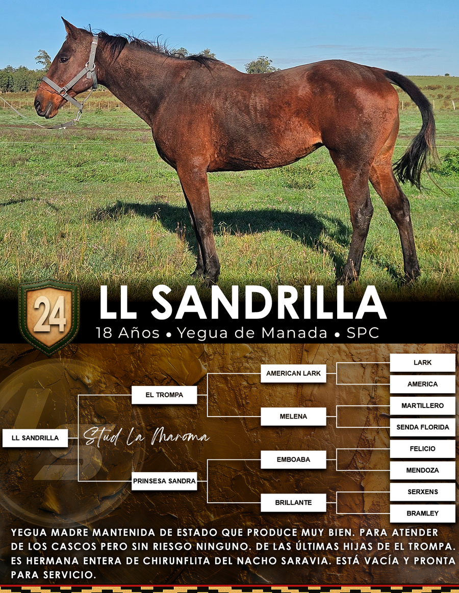 Lote LL SANDRILLA
