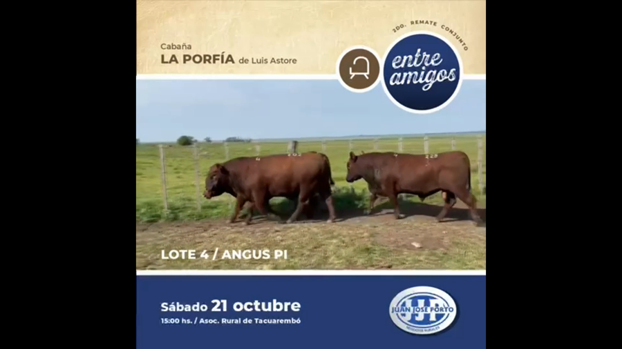 Lote Cabaña La Porfia