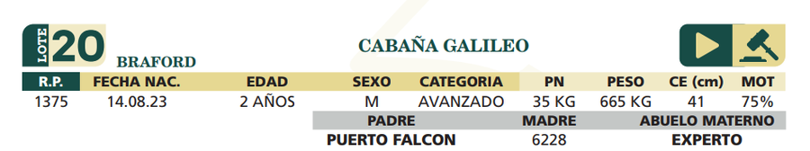 Lote LOTE 20