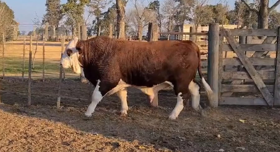 Lote CABAÑA LA ESPERANZA