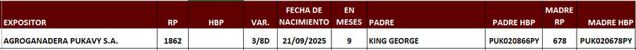 Lote LOTE 2