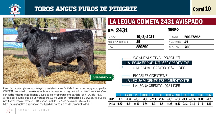 Lote TOROS PP