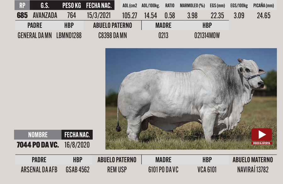 Lote LOTE 33