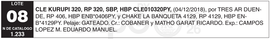 Lote LOTE 8