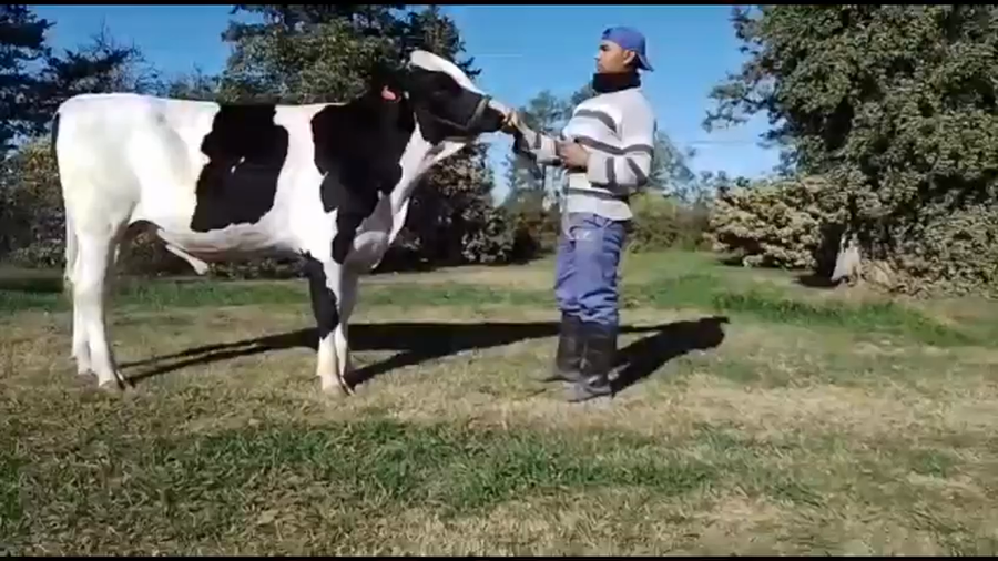 Lote Est. Don Francisco