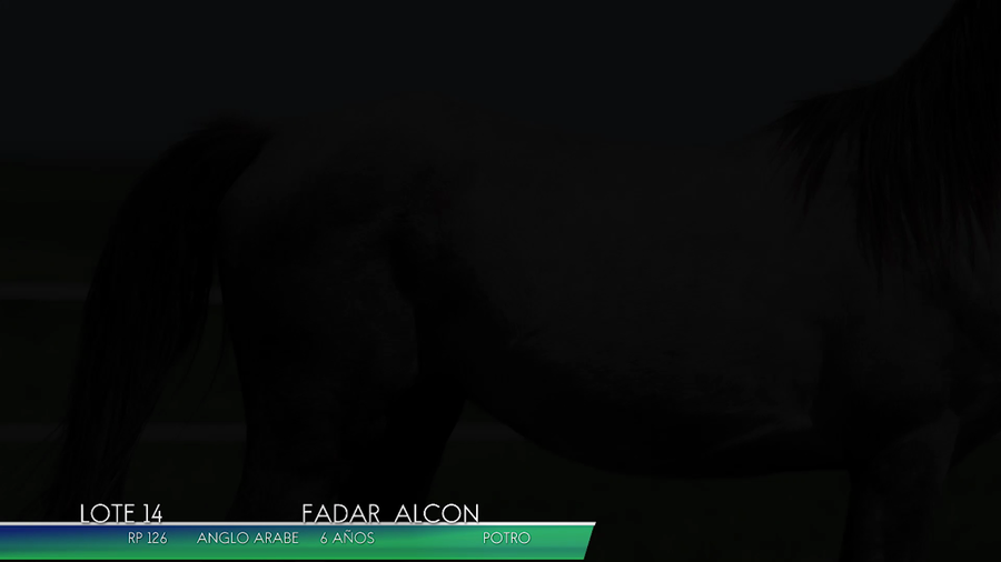 Lote FADAR ALCON