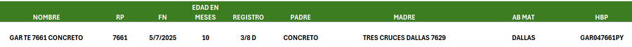 Lote LOTE 43
