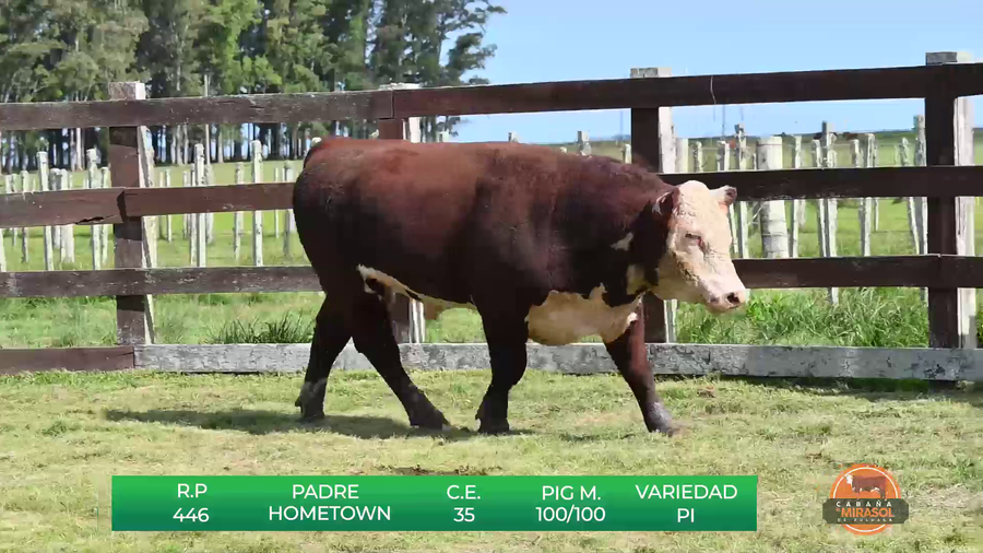 Lote MIRASOL HOMETOWN G-BIFE