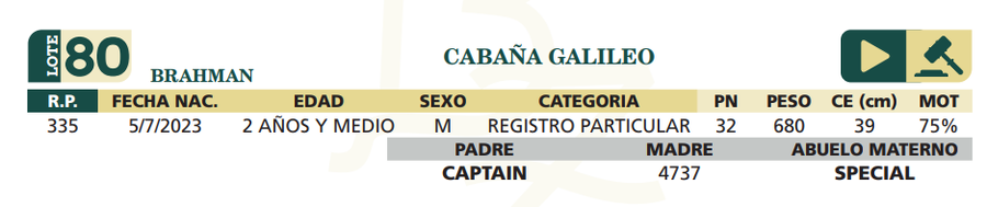 Lote LOTE 80