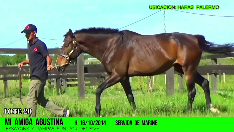 Lote MI AMIGA AGUSTINA