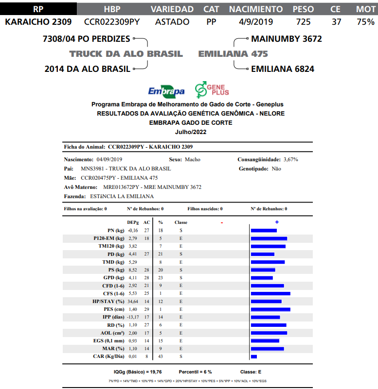 Lote LOTE 3-   RP K2309